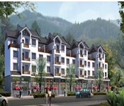 广西岭南民居建筑风格研究2